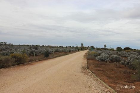 Property photo of 132 Slaughterhouse Road Morgan SA 5320