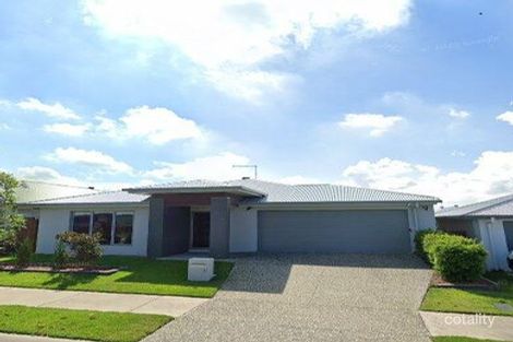 Property photo of 11 Teal Circuit Greenbank QLD 4124