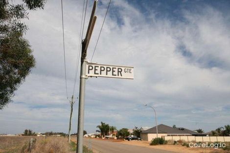 Property photo of 11 Pepper Gate Waggrakine WA 6530