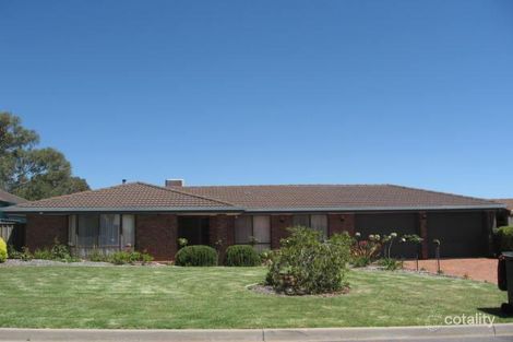 17 Cedric Ave, Redwood Park, SA 5097