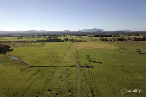 Property photo of 43 Clunes Lane Coopernook NSW 2426