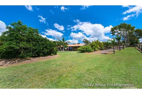 Property photo of 75 Constance Avenue Rockyview QLD 4701
