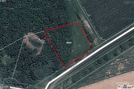 Property photo of 34 De Meio Drive Lower Daintree QLD 4873