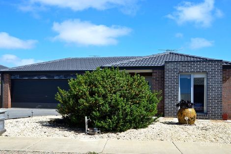 117 Curtain Dr, Leopold, VIC 3224