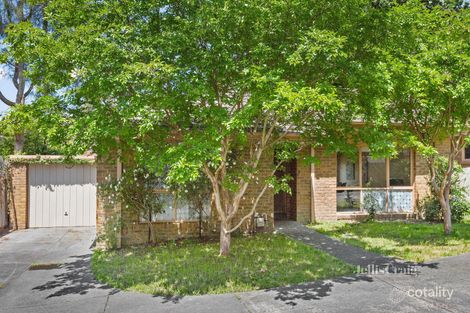 3/29 James St, Box Hill, VIC 3128