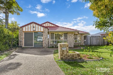 Property photo of 57 Vista Circuit Runcorn QLD 4113