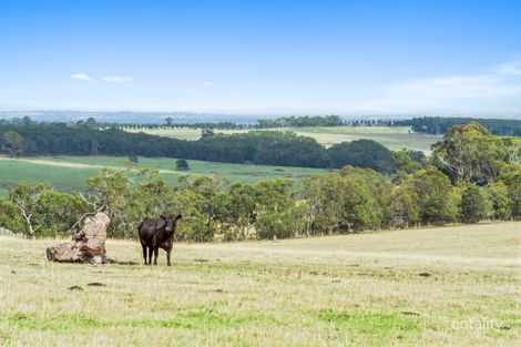 55 Bambra School Rd, Bambra, VIC 3241
