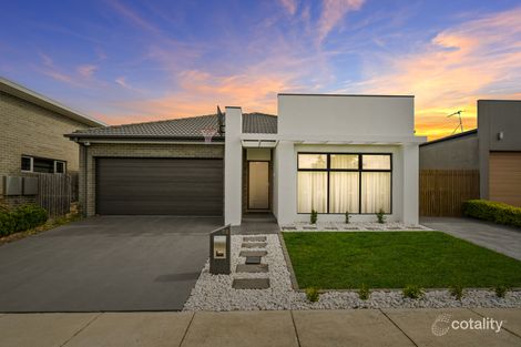 56 Greg Urwin Cct, Casey, ACT 2913