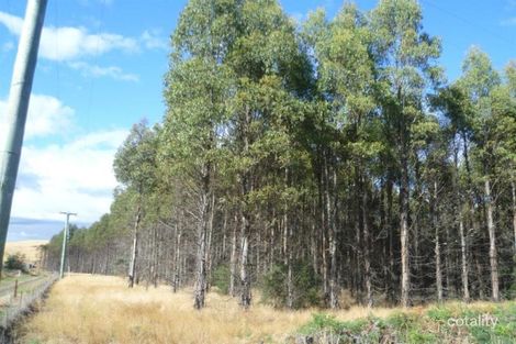 139 Bacala Rd, Lilydale, TAS 7268