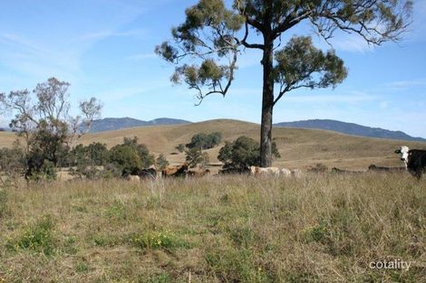 Property photo of 1819 Gresford Road Torryburn NSW 2421