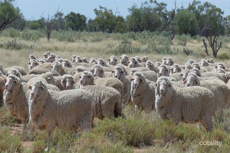 1759 Booka Rd, The Marra, NSW 2831