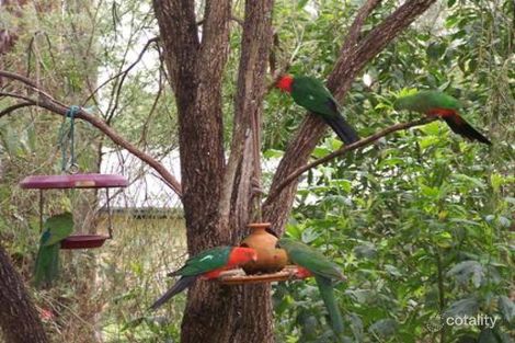 Property photo of 76 Esky Road Pallara QLD 4110