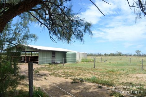 Property photo of 301 Branch Creek Road Dalby QLD 4405