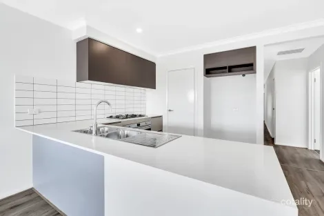 Property photo of 16 Dwarf Road Kalkallo VIC 3064