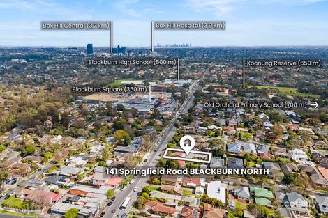 Property photo of 141 Springfield Road Blackburn North VIC 3130