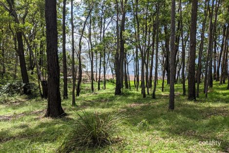 Property photo of 49 Point Circuit North Arm Cove NSW 2324