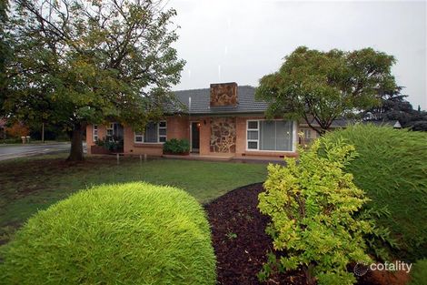 39 Errington St, Plympton, SA 5038