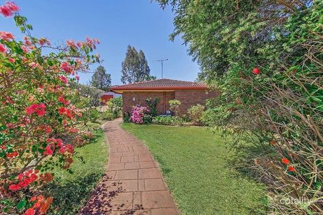 Property photo of 6 Ara Street Camp Hill QLD 4152