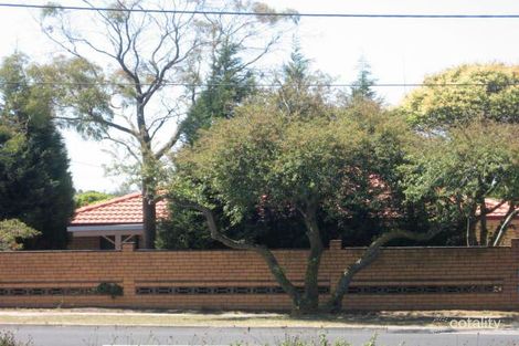 253a Burwood Hwy, Burwood East, VIC 3151