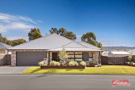 8 Wintle Rd, The Oaks, NSW 2570
