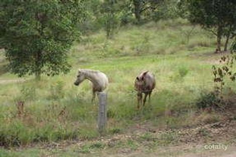 Property photo of 7 Willem Drive Draper QLD 4520