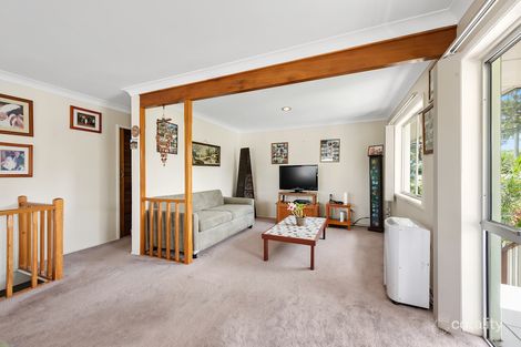 Property photo of 193 Scarborough Road Scarborough QLD 4020