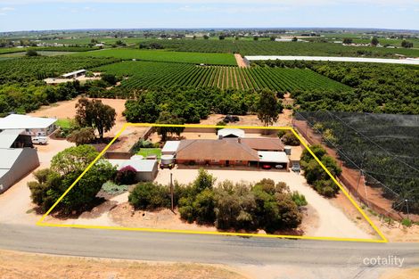 Property photo of 140 Chino Street Renmark SA 5341
