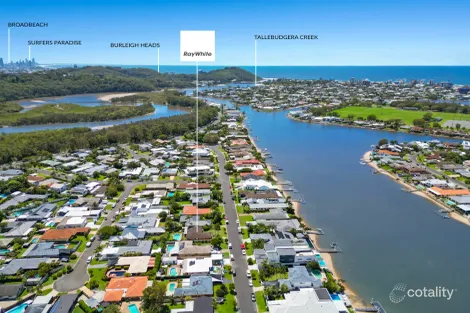 Property photo of 14 Diplacus Drive Palm Beach QLD 4221