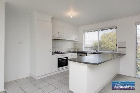 Property photo of 46 Paperbark Drive Mount Martha VIC 3934