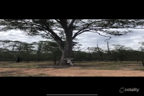 398 Golden Glow Rd, Tara, QLD 4421