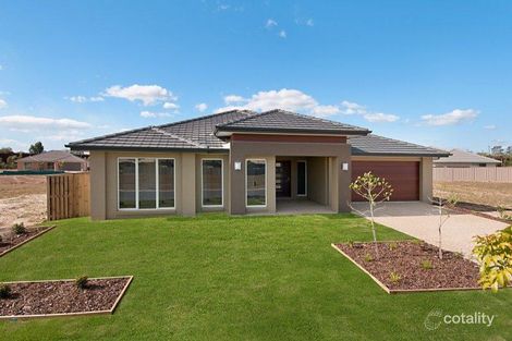 Property photo of 59 McAndrew Street Caboolture QLD 4510