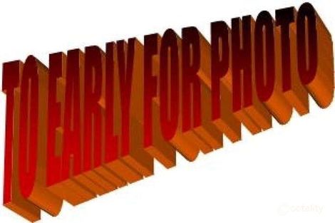 Property photo of 16 Birch Street Batlow NSW 2730