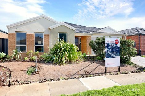 Property photo of 19 Lofty Road Tarneit VIC 3029