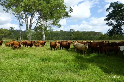 Property photo of LOT 61 Dingles Road Moolboolaman QLD 4671