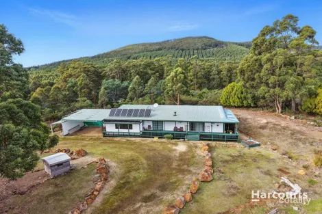 Property photo of 24 Radnor Road Port Arthur TAS 7182