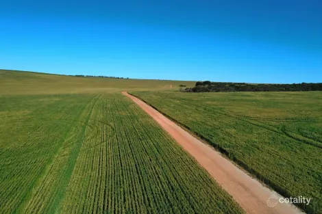 6062 Coorow-Green Head Rd, Warradarge, WA 6518