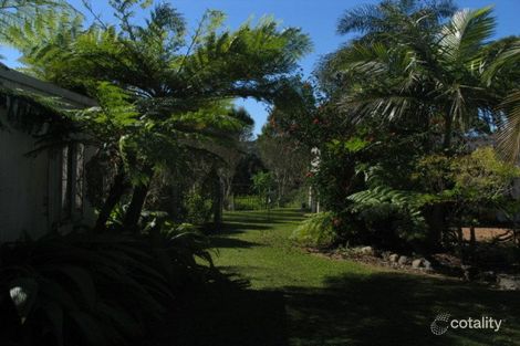 Property photo of 19 Yarrabee Terrace Stokers Siding NSW 2484