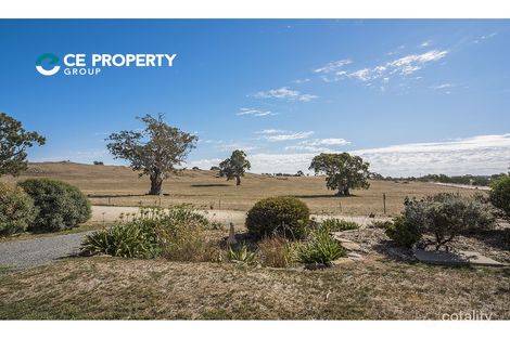 Property photo of 38 Macdonnell Terrace Springton SA 5235