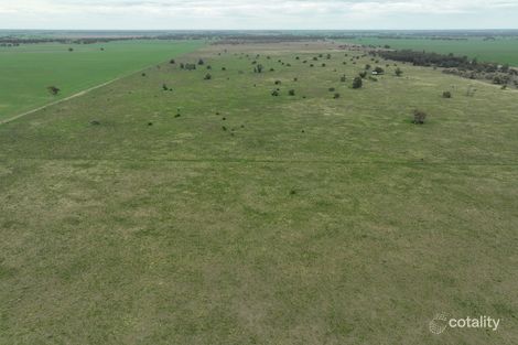 857 Trangie Dandaloo Rd, Trangie, NSW 2823