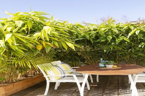 Property photo of 6/6 The Crescent Dee Why NSW 2099