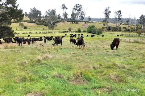 1020 Stonehenge Rd, Stonehenge, TAS 7120