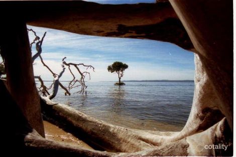 Property photo of 8 Cypress Street Coochiemudlo Island QLD 4184