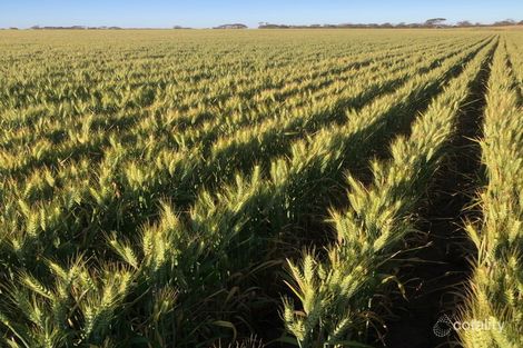 Holt Rock Rd N, Holt Rock, WA 6355