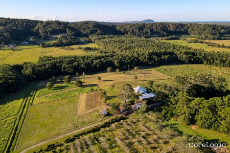 Property photo of 519A Diddillibah Road Diddillibah QLD 4559
