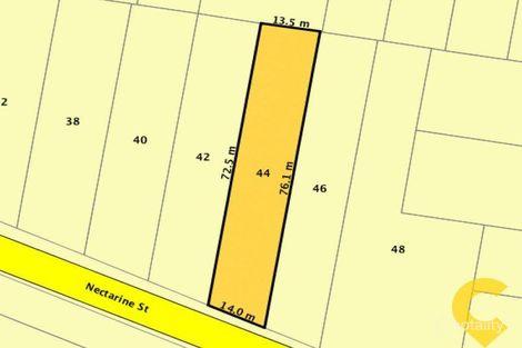 Property photo of 44 Nectarine Street Runcorn QLD 4113