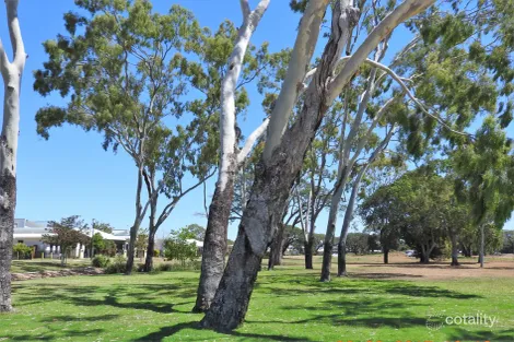 Property photo of 17 Darter Street Oonoonba QLD 4811