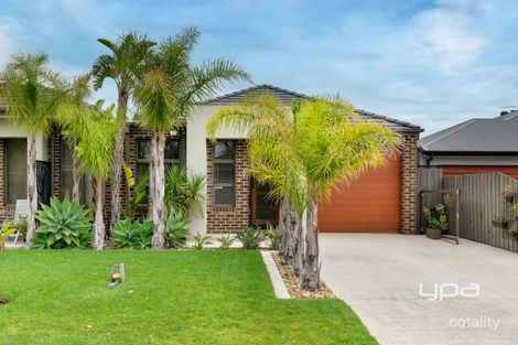 43a Seaview Ave, Safety Beach, VIC 3936