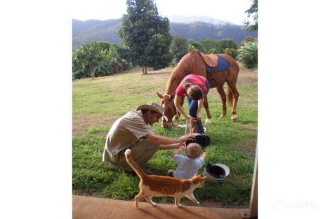 188 Goldsborough Rd, Goldsborough, QLD 4865