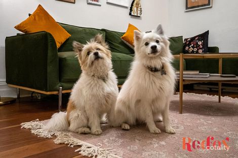 Property photo of 438 Guildford Road Bayswater WA 6053