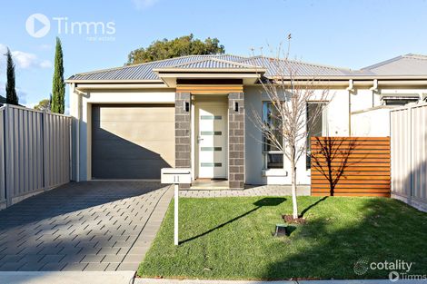 Property photo of 11 Nellie Avenue Mitchell Park SA 5043